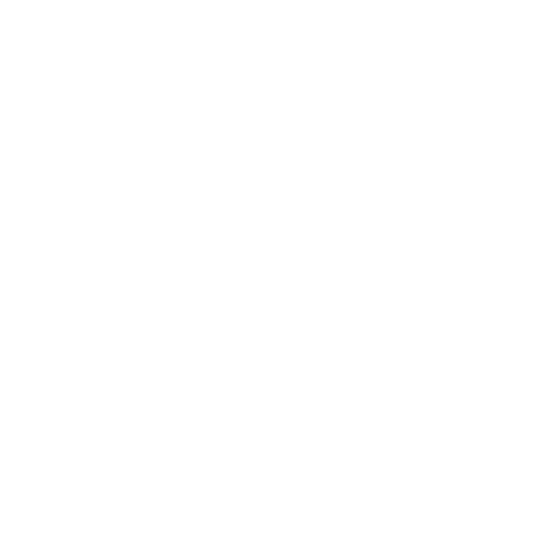 Lions Intelligence
